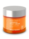 Purple Carrot + C Luminous Night Cream - 50 g