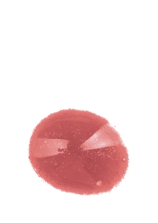 Lip Gloss - Raspberry - 10 ml