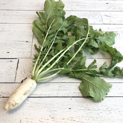 Icicle Radish Bunch