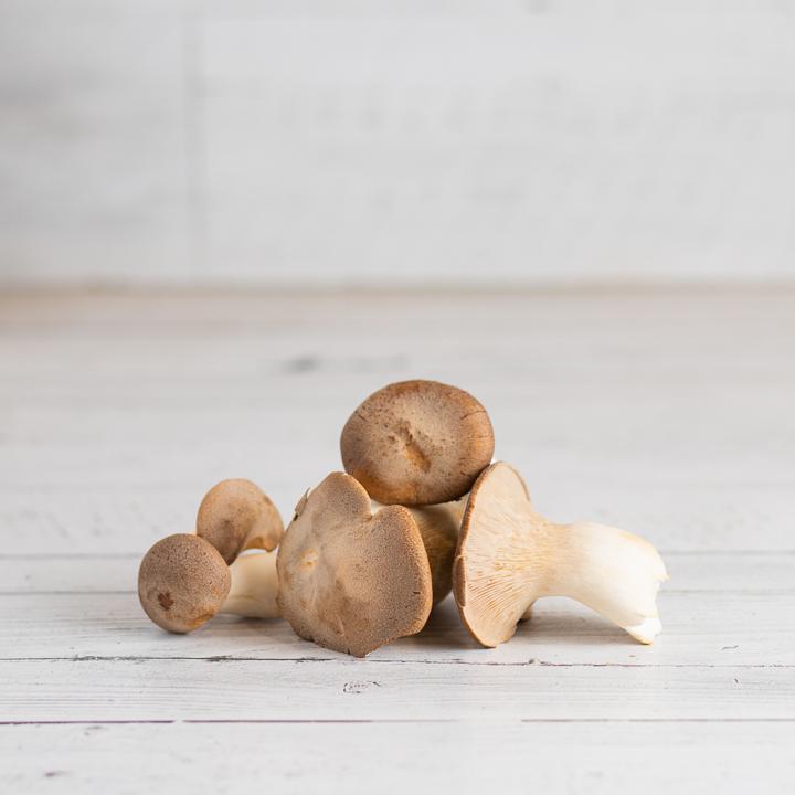 Mini King Oyster Mushrooms