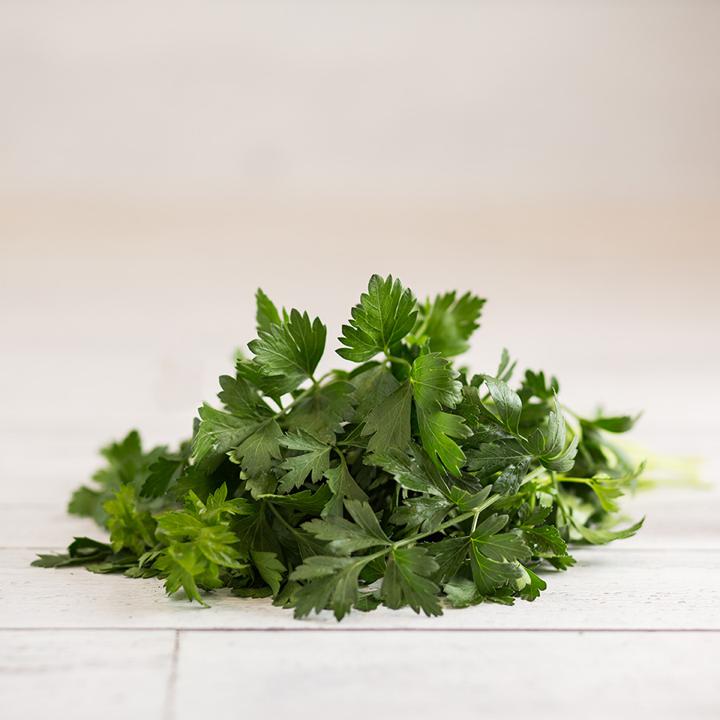 Italian Parsley