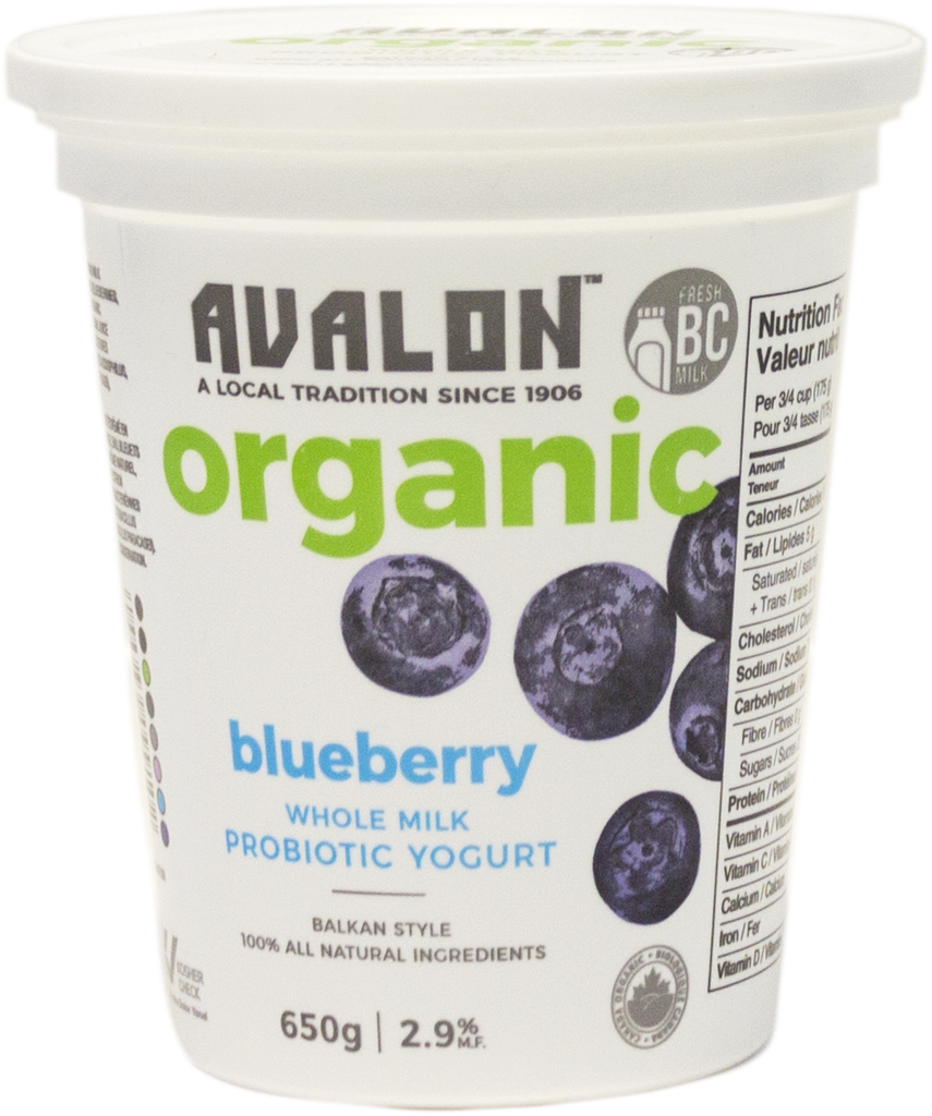 Probiotic Yogurt - Blueberry