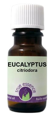 Eucalyptus Citridora Oil