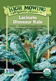 Seeds - Lacinato Dinosaur Kale