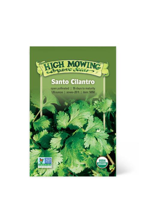 Santo Cilantro