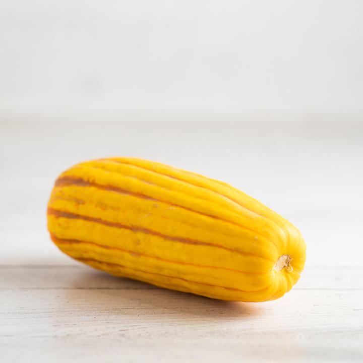 Squash Delicata Org