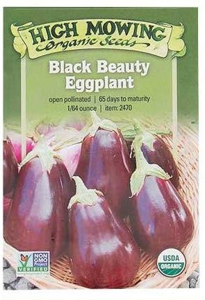 Black Beauty Eggplant