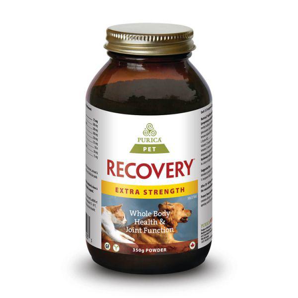 Recovery SA Extra Strength