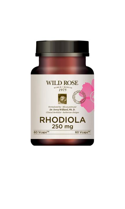 Rhodiola