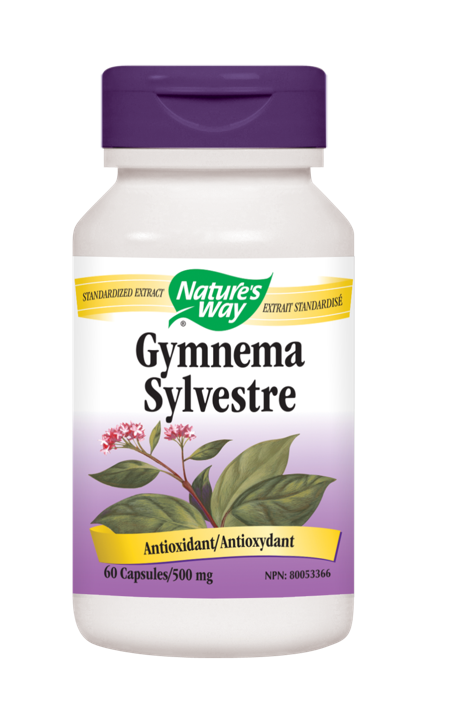 Gymnema Sylvestre - 500 mg