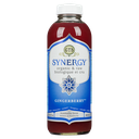 Synergy Kombucha Drink - Gingerberry