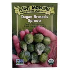 Seeds - Dagan Brussels Sprouts