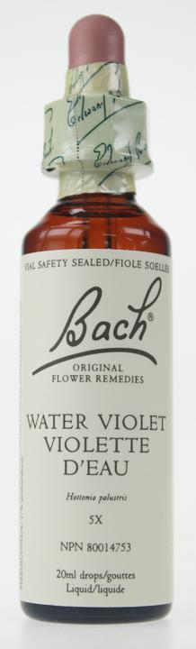 Water Violet