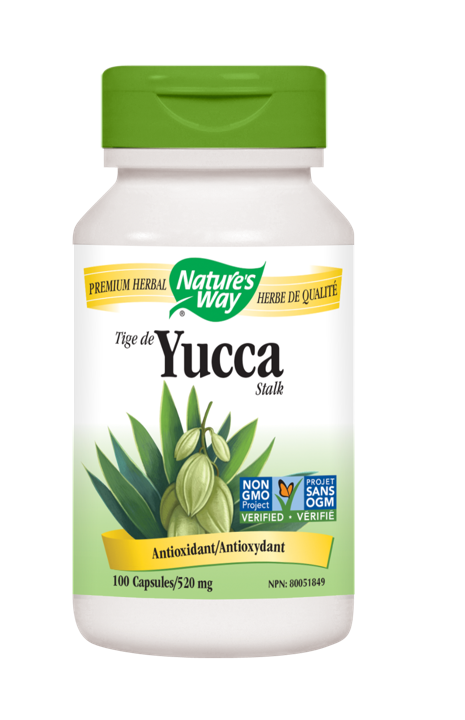 Yucca Stalk - 520 mg