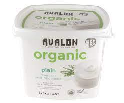 Whole Milk Probiotic Yogurt - Plain