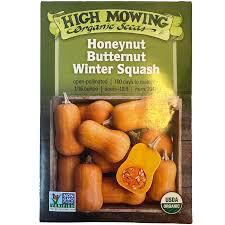 Seeds - Honey Butternut Winter Squash