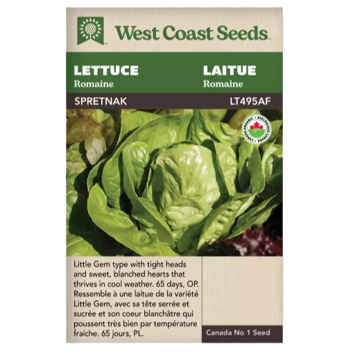 Seeds - Spretnak Romaine Lettuce