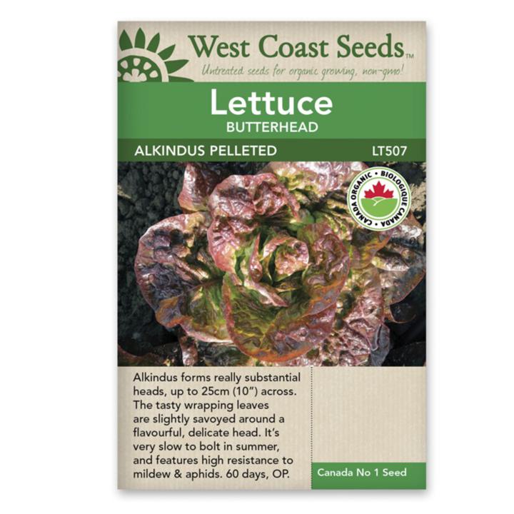 Seeds - Alkindus Butterhead Lettuce