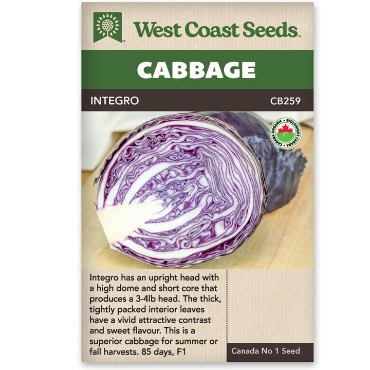 Seeds - Integro Cabbage - Certified Organic