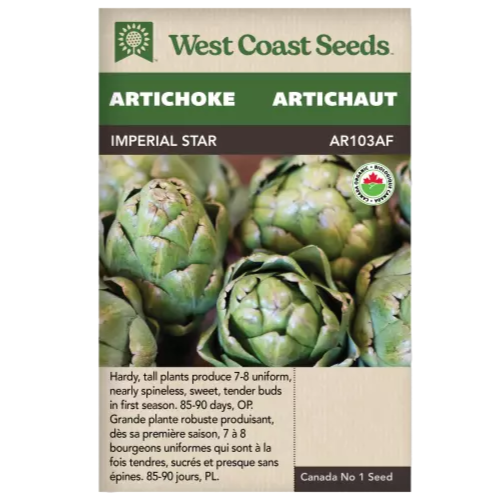 Seeds - Imperial Star Artichoke Certified Organic