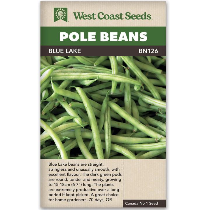 Seeds - Blue Lake Pole Bean