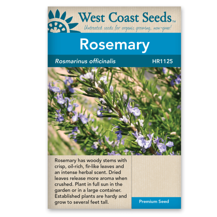 Seeds - Rosemary