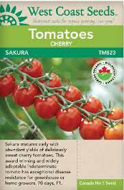 Seeds - Sakura Tomato