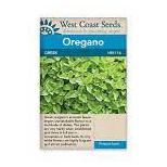 Seeds - Greek Oregano