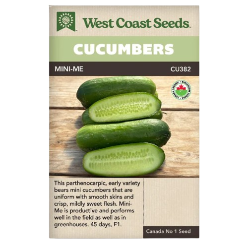 Seeds - Mini-Me F1 Cucumber Certified Organic