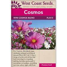 Seeds - Mini Blend Cosmos