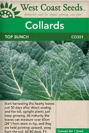 Seeds - Top Bunch Collards