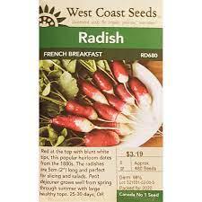 Seeds - French Breakfast Radish