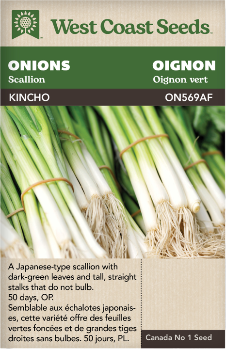 Seeds - Kincho Scallion