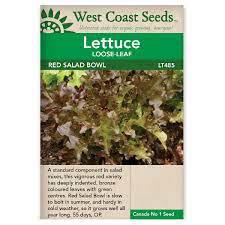 Seeds - Salad Bowl Red Leaf Lettuce