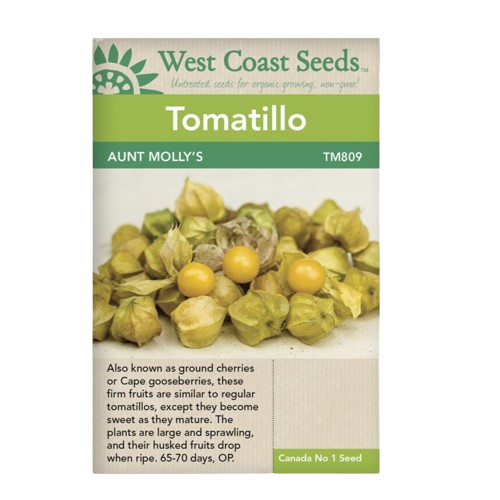 Seeds - Aunt Molly's Ground Cherry