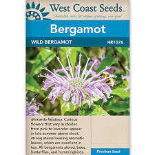 Seeds - Wild Bergamot