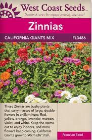 Seeds - California Giants Mix Zinnias