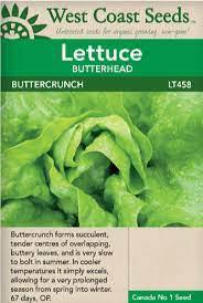 Seeds - Buttercrunch Lettuce