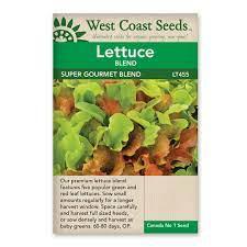 Seeds - Super Gourmet Salad Lettuce Blend