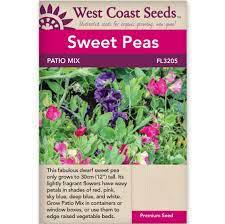 Seeds - Patio Mix Sweet Peas