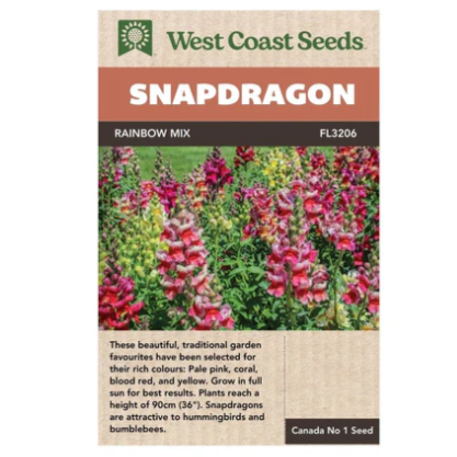 Seeds - Rainbow Mix Snapdragons