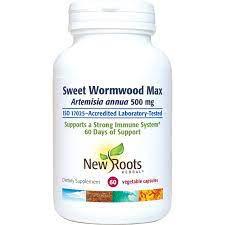 Sweet Wormwood Max