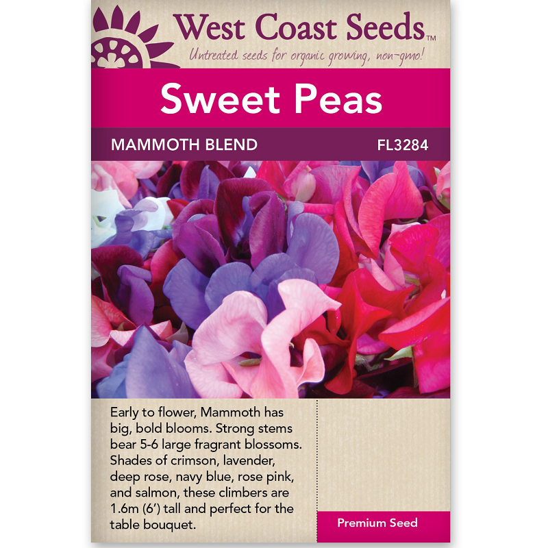 Seeds - Sweet Peas - Mammoth Blend