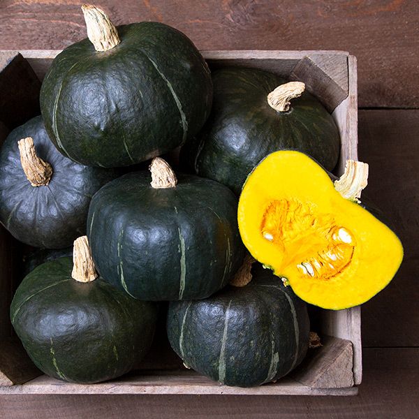 Burgess Buttercup Squash - 1/8 ounce