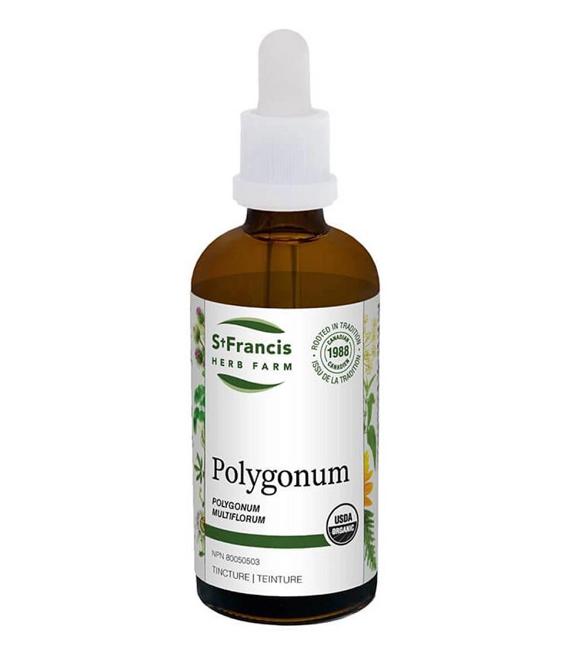 Polygonum