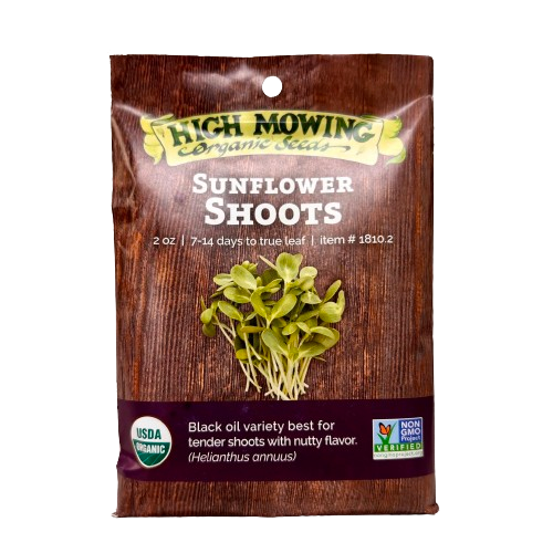 Sunflower Shoots