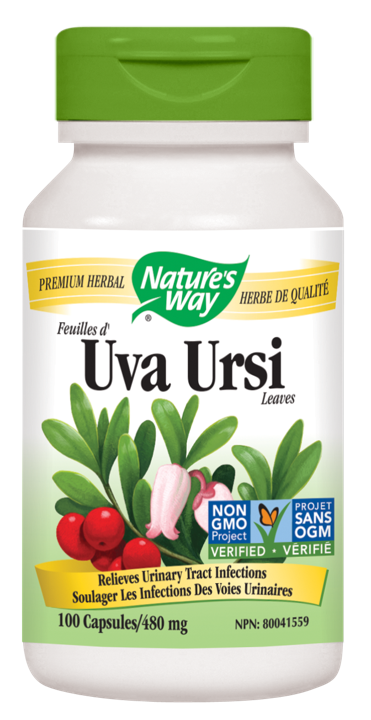 Uva Ursi Leaves - 480 mg