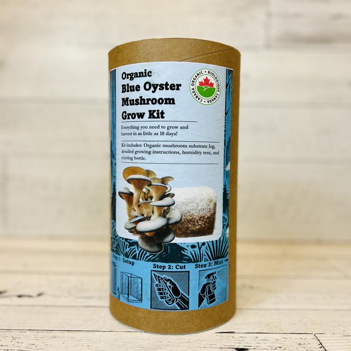 Oyster Mushroom Grow Kit Org